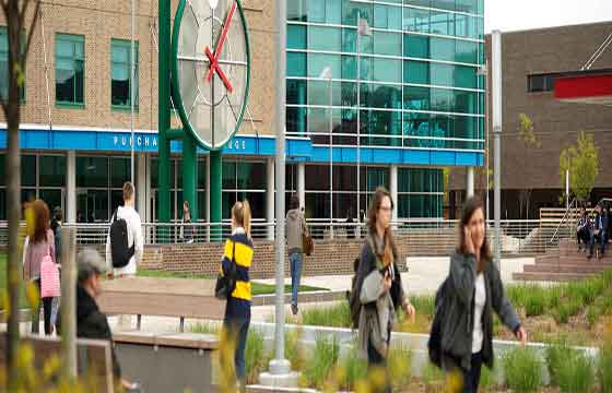 Study at SUNY-State University College at Purchase USA
