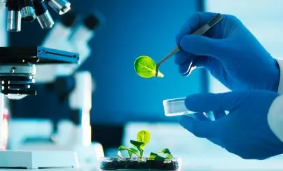 Study Biotechnology Courses Abroad