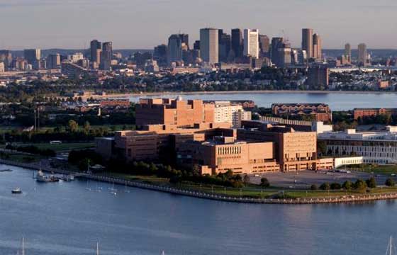 university of massachusetts boston