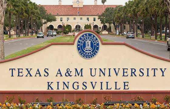 Study at Texas A And M University Kingsville USA